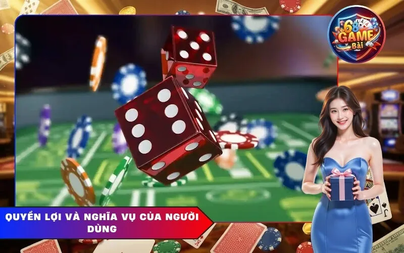 Quyền lợi và nghĩa vụ của người dùng